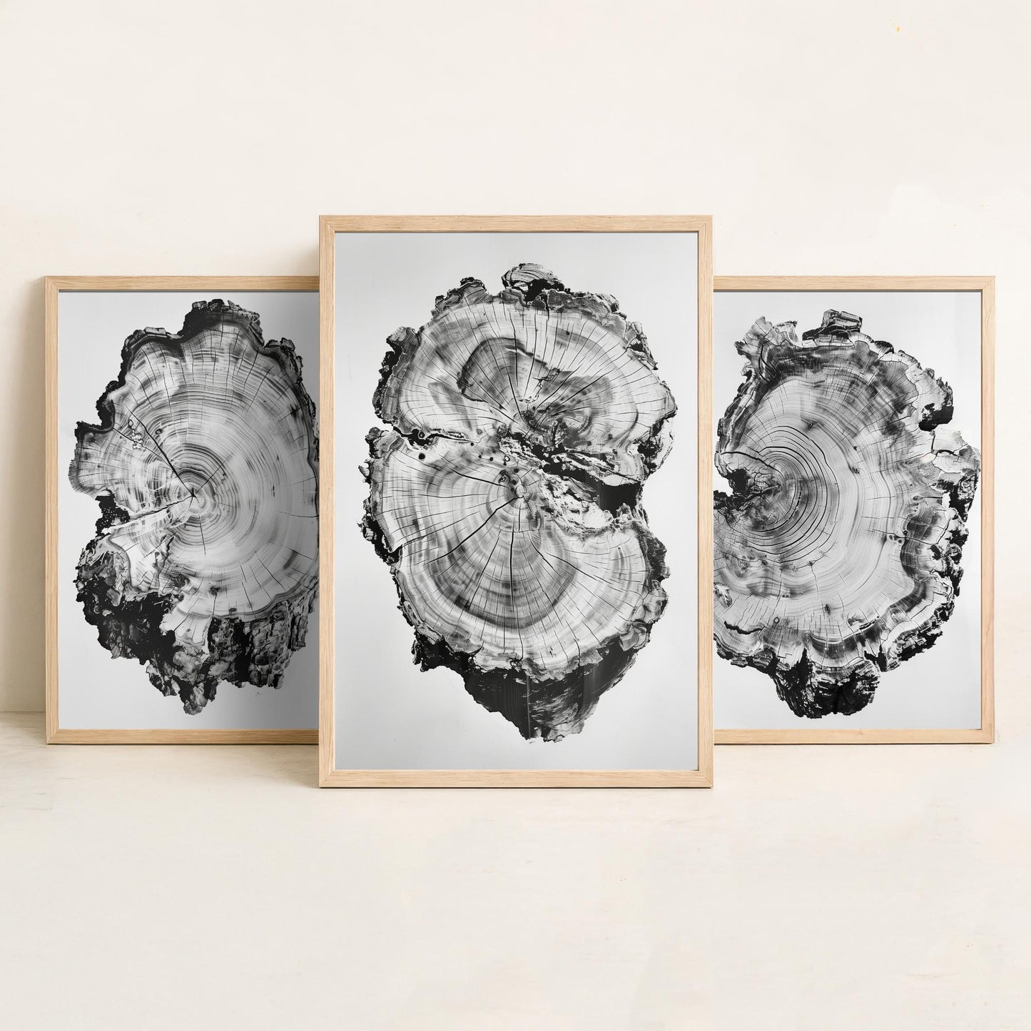 Warped Black and White Tree Ring Set of Three Art Prints Poster Painting Decor