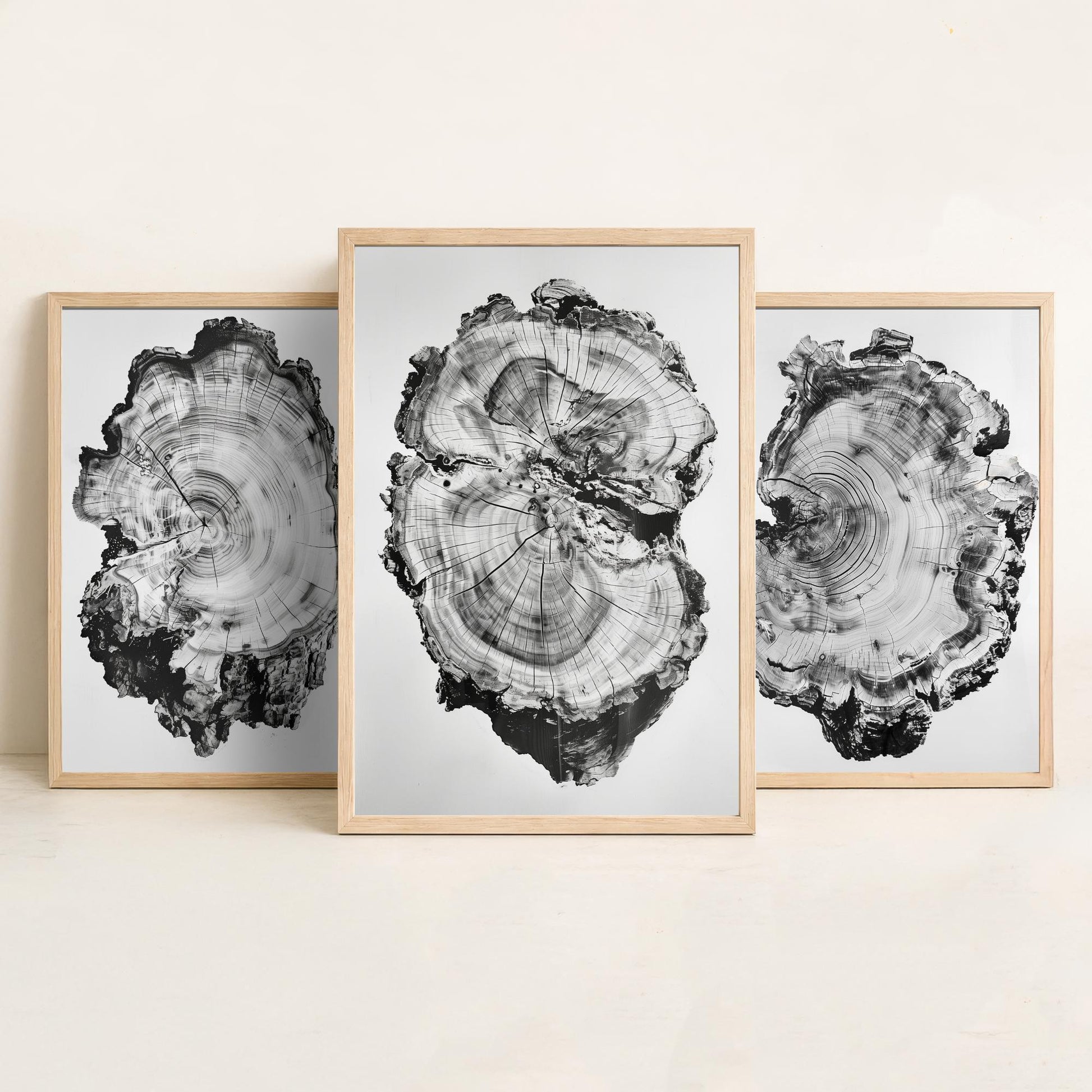 Warped Black and White Tree Ring Set of Three Art Prints Poster Painting Decor