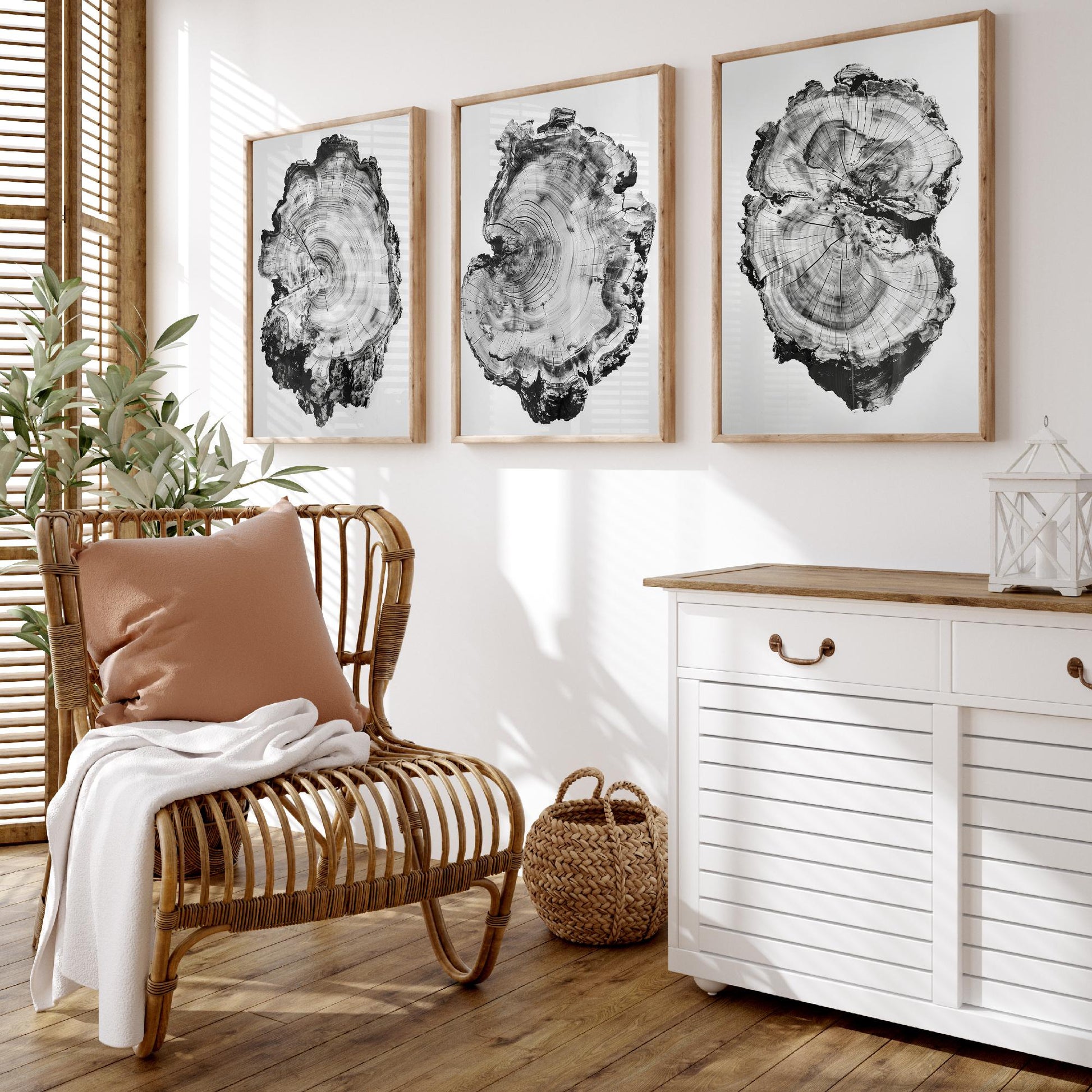 Warped Black and White Tree Ring Set of Three Art Prints Poster Painting Decor