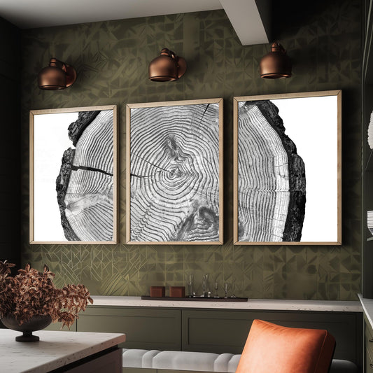 Tree Rings Set of Three Art Prints - Black and White Log Cross Section Split Across Three Panels - Monochrome Wood Photo Poster