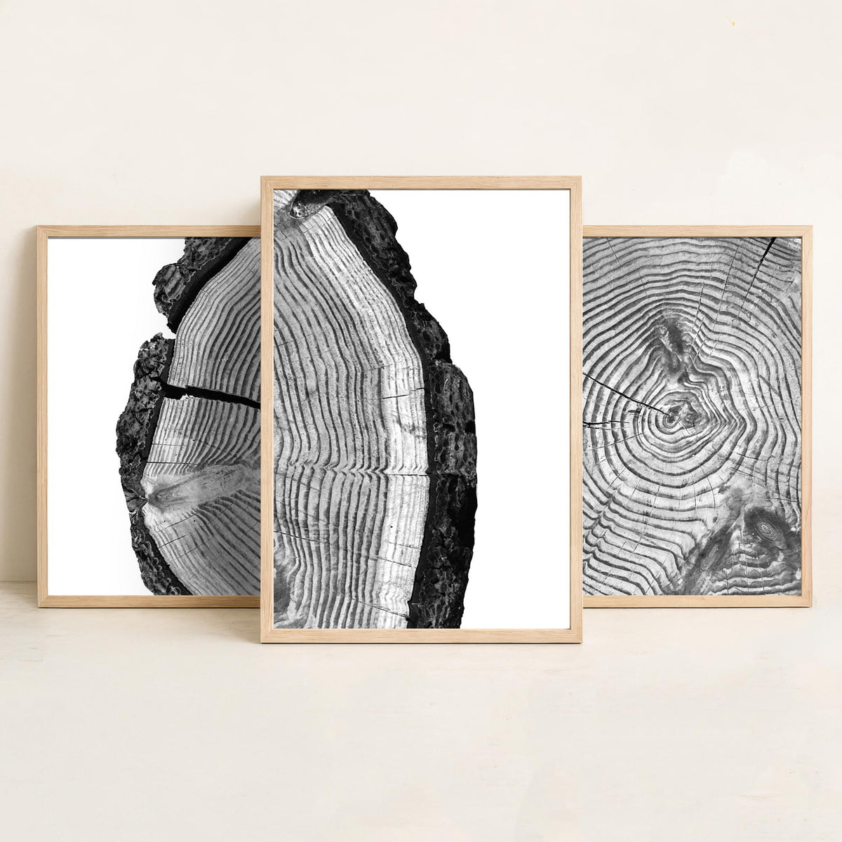 Tree Rings Set of Three Art Prints - Black and White Log Cross Section Split Across Three Panels - Monochrome Wood Photo Poster