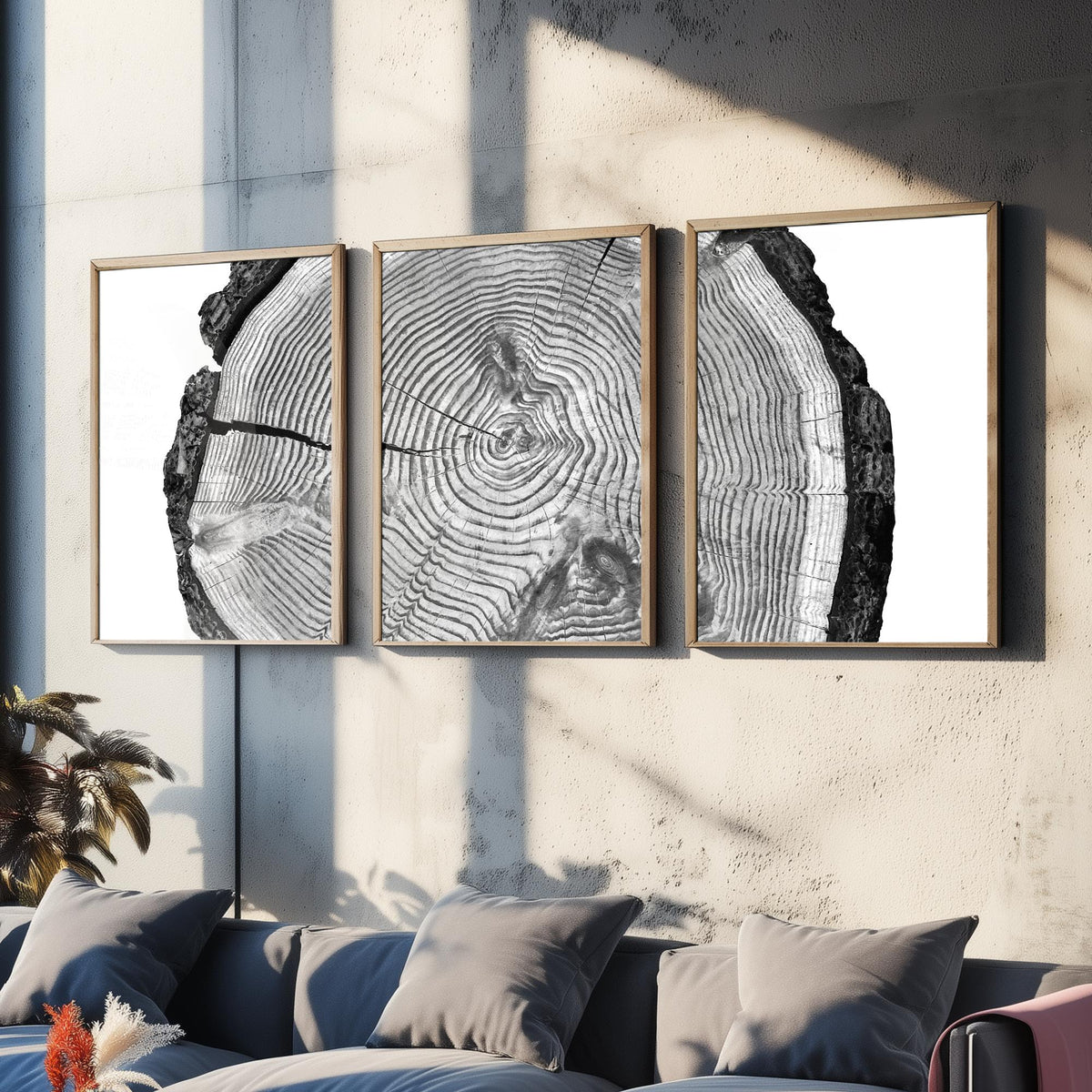 Tree Rings Set of Three Art Prints - Black and White Log Cross Section Split Across Three Panels - Monochrome Wood Photo Poster