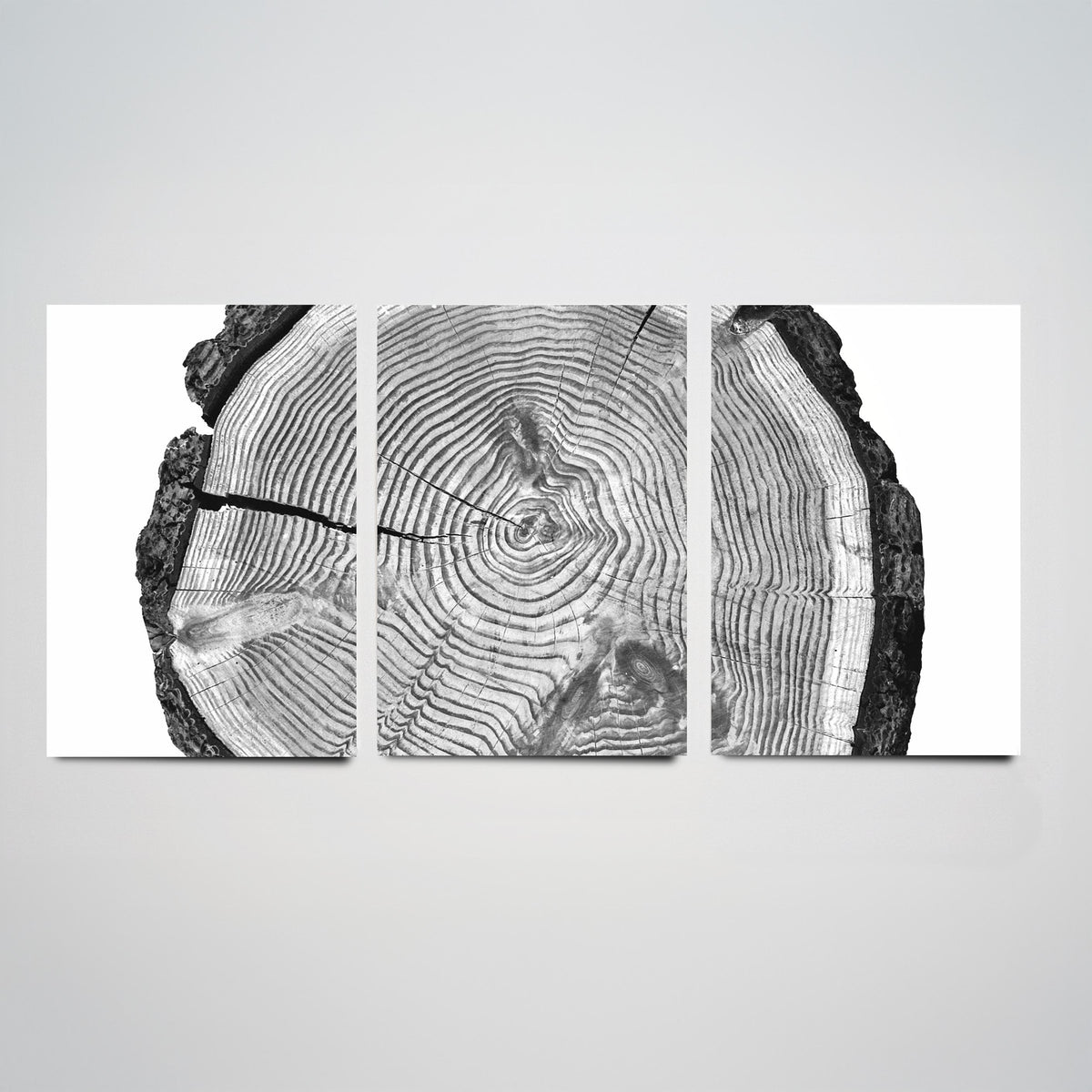 Tree Rings Set of Three Art Prints - Black and White Log Cross Section Split Across Three Panels - Monochrome Wood Photo Poster