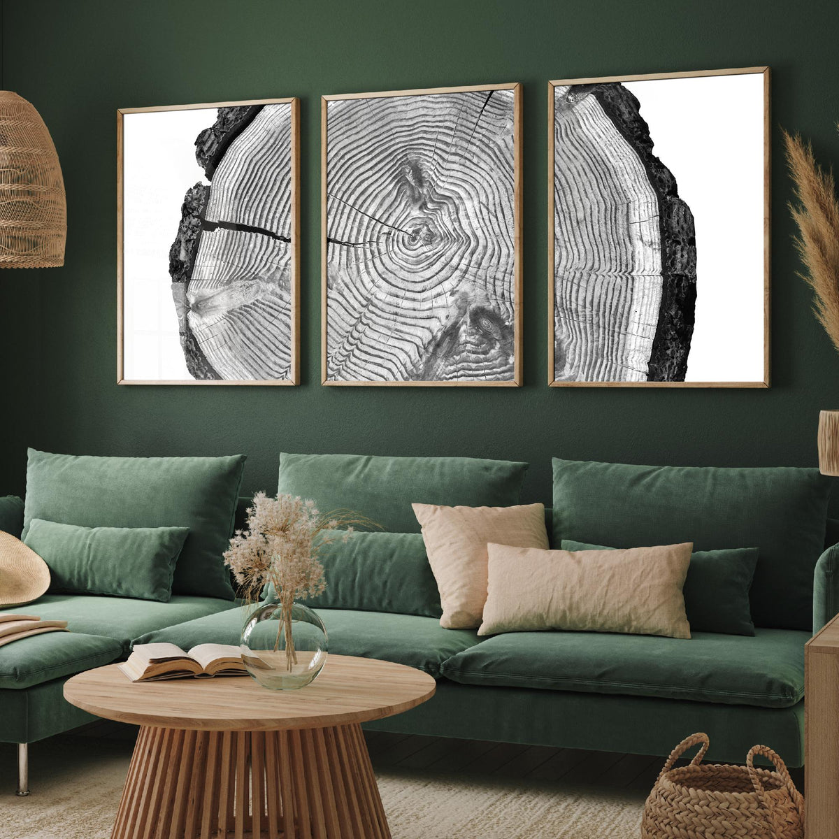 Tree Rings Set of Three Art Prints - Black and White Log Cross Section Split Across Three Panels - Monochrome Wood Photo Poster