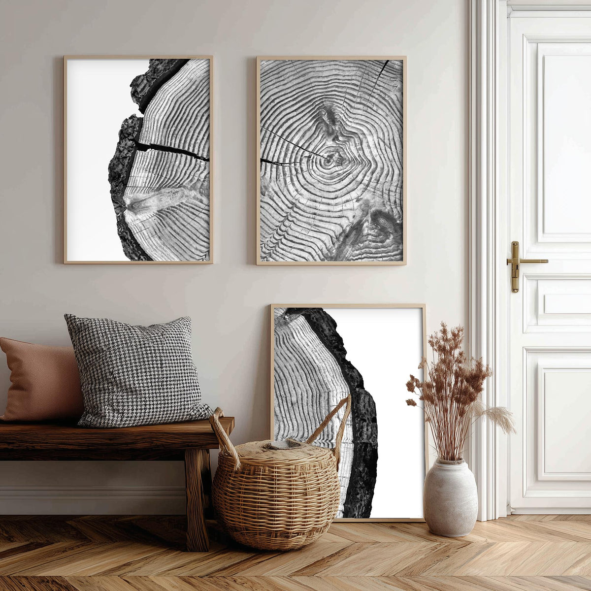 Tree Rings Set of Three Art Prints - Black and White Log Cross Section Split Across Three Panels - Monochrome Wood Photo Poster