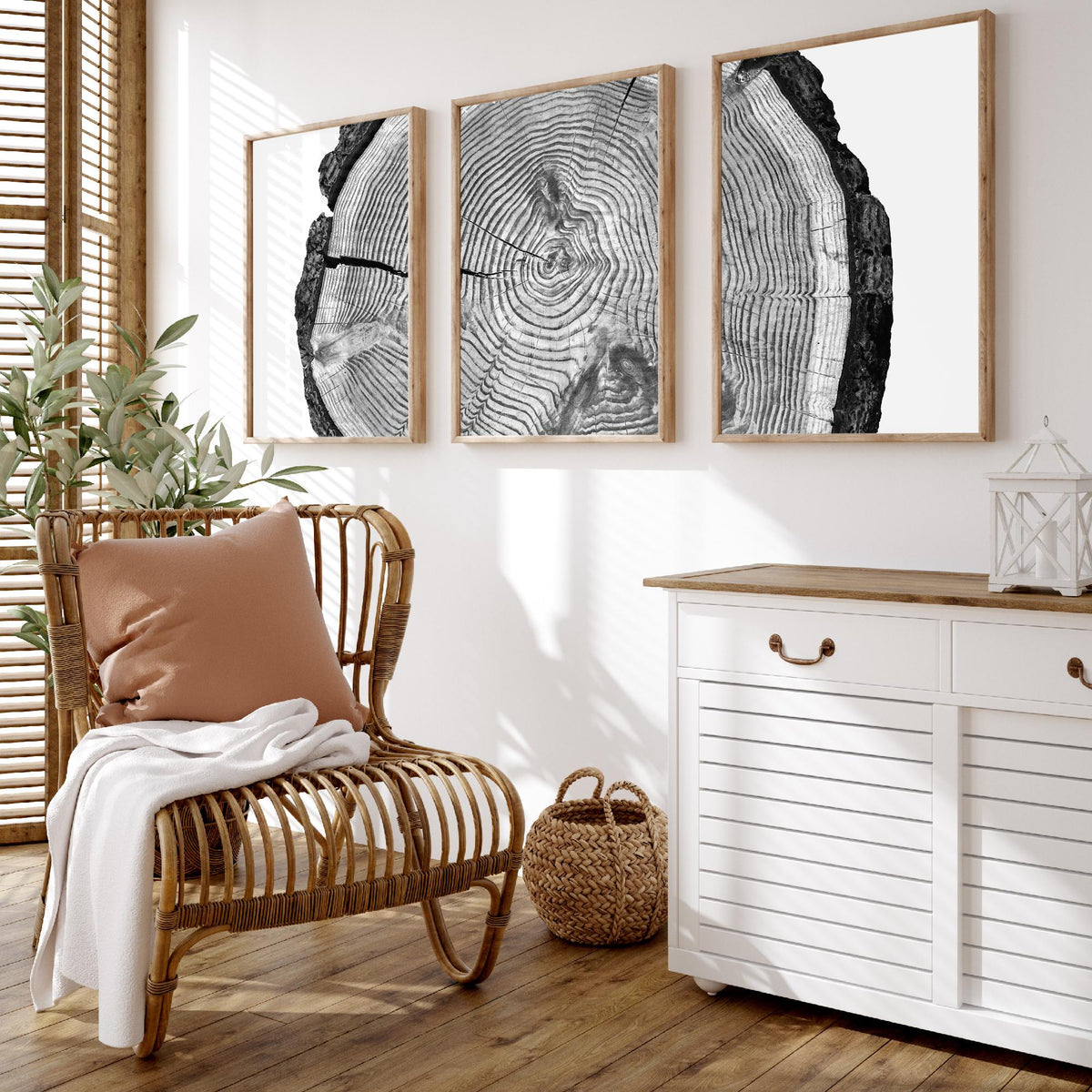 Tree Rings Set of Three Art Prints - Black and White Log Cross Section Split Across Three Panels - Monochrome Wood Photo Poster