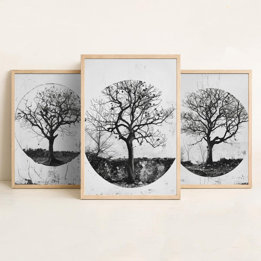 Vintage Black and White Bare Tree Set of Three Art Prints Poster Photo Wall Decor