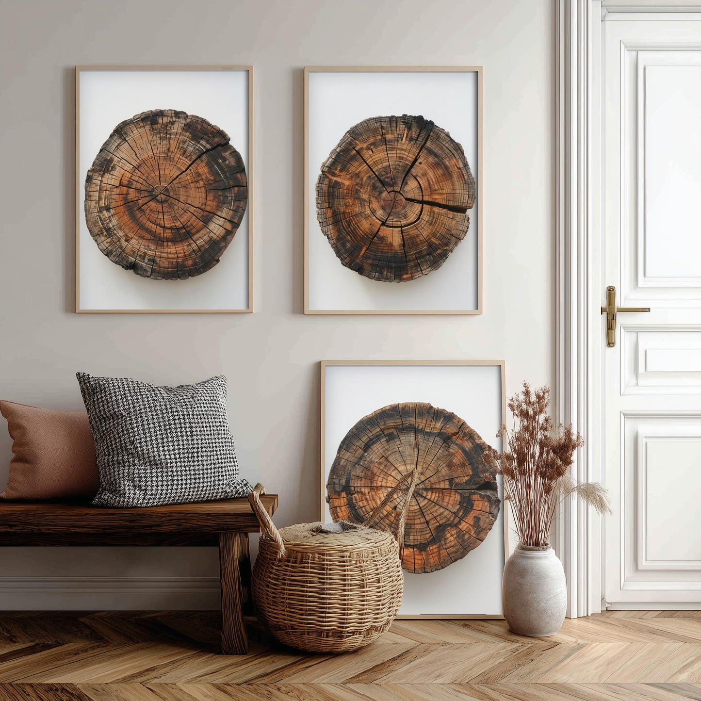 Autumn Orange Tree Stump Wood Ring Set of Three Art Prints Poster Painting Decor