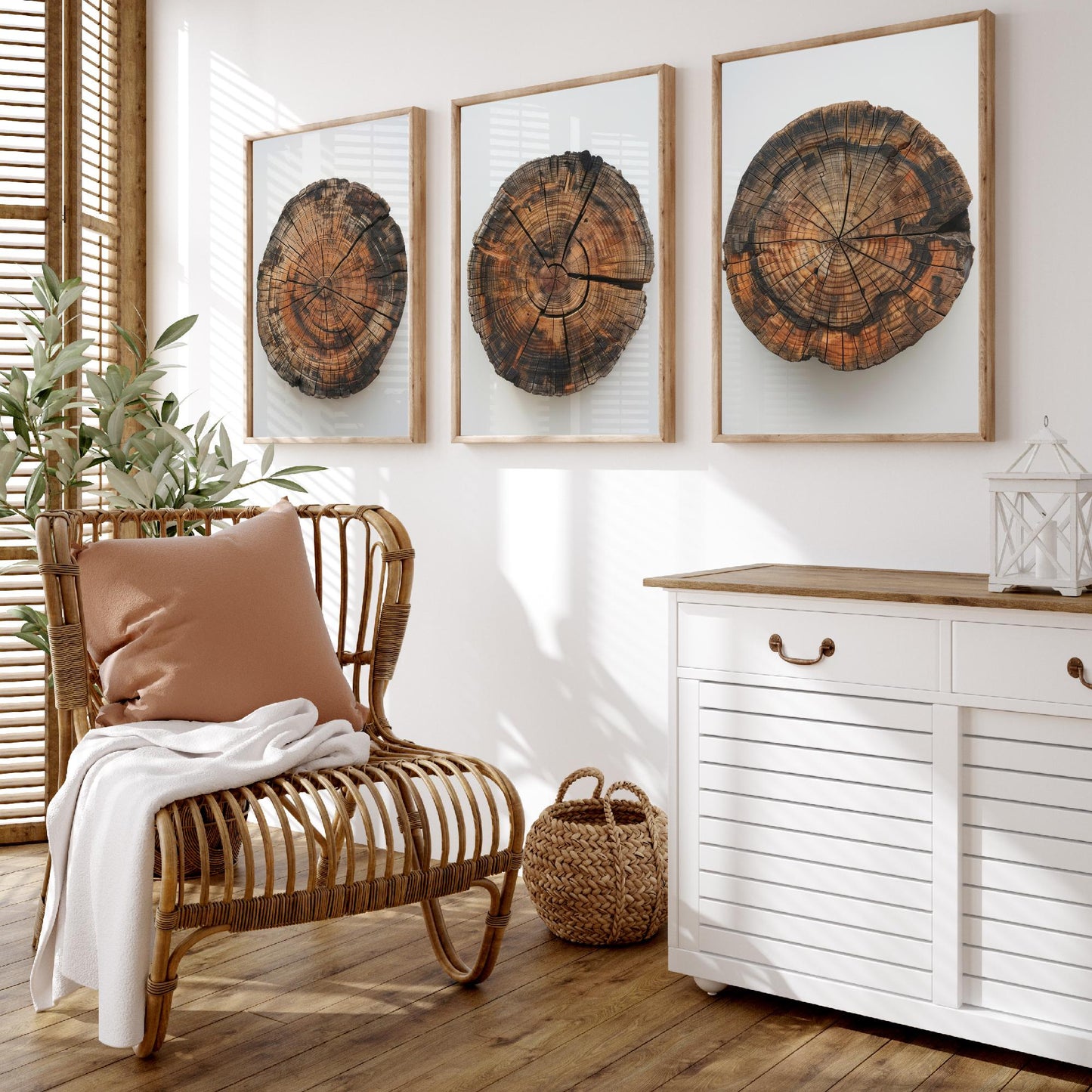Autumn Orange Tree Stump Wood Ring Set of Three Art Prints Poster Painting Decor