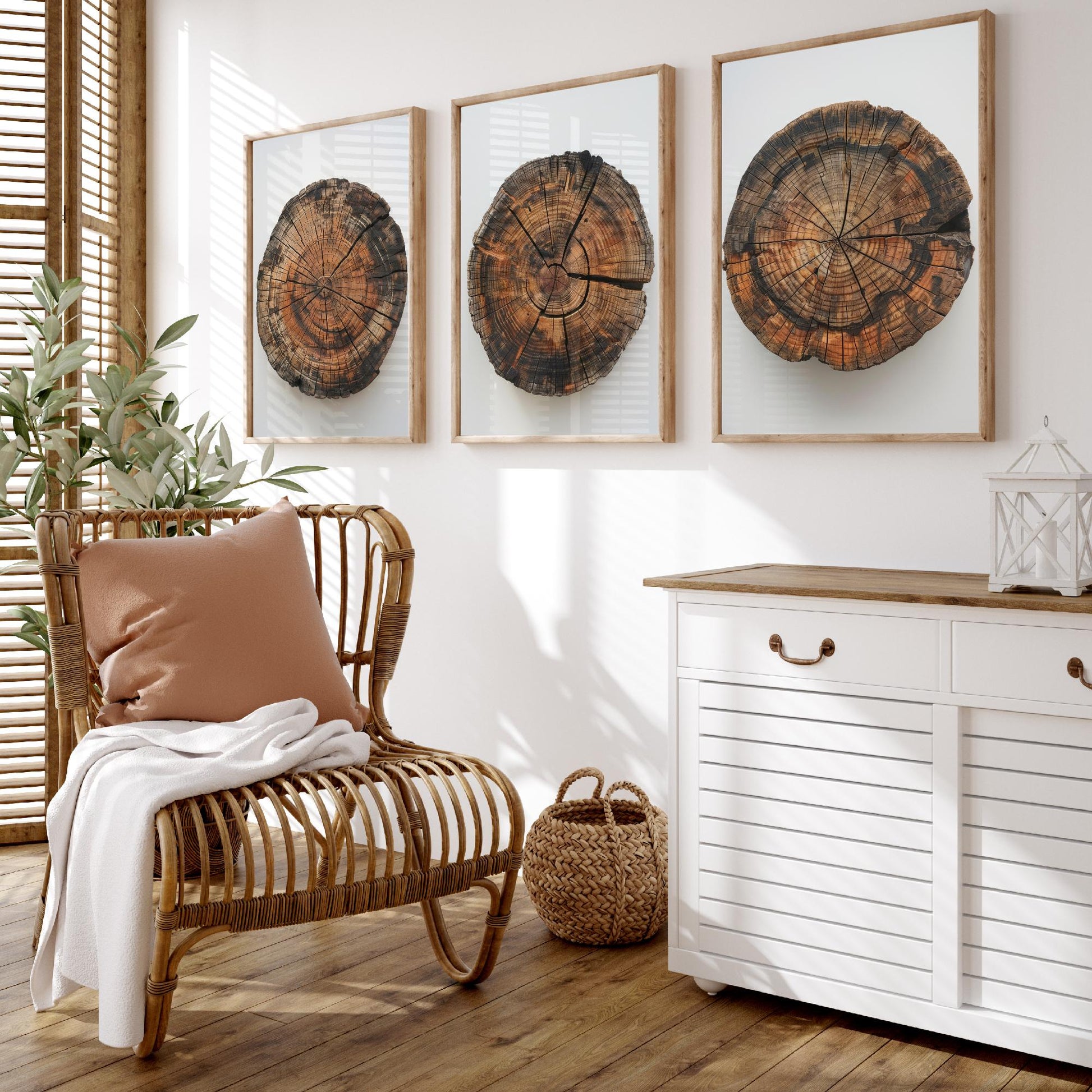 Autumn Orange Tree Stump Wood Ring Set of Three Art Prints Poster Painting Decor