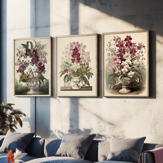 Tropical Orchids in a Vase Set of Three Art Prints - Antique Urns of Moth Orchids - Vintage Botanical Poster Illustration