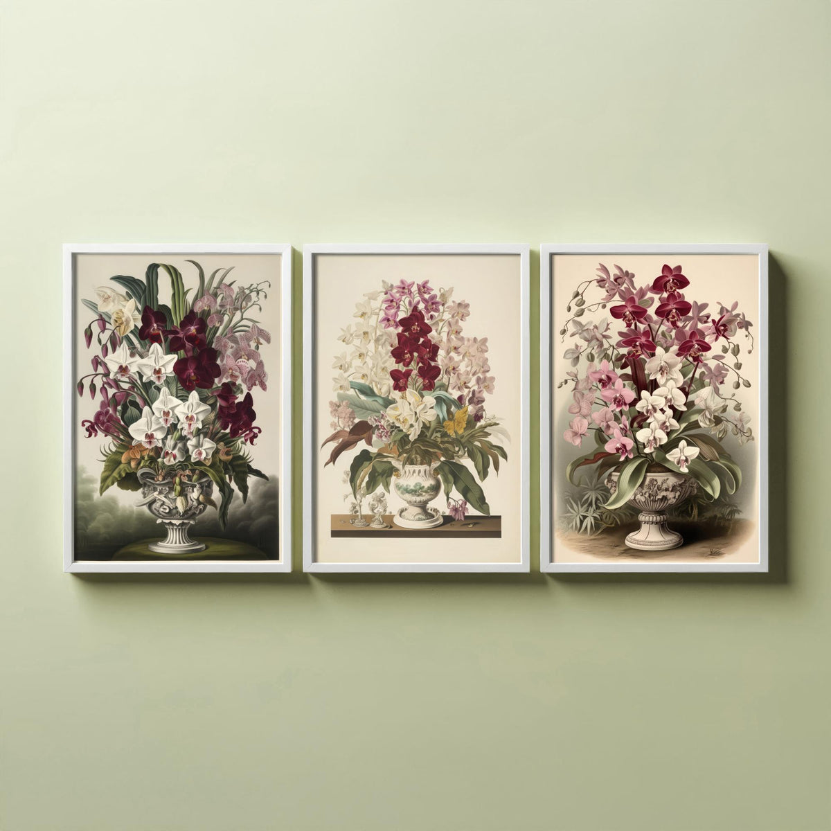 Tropical Orchids in a Vase Set of Three Art Prints - Antique Urns of Moth Orchids - Vintage Botanical Poster Illustration
