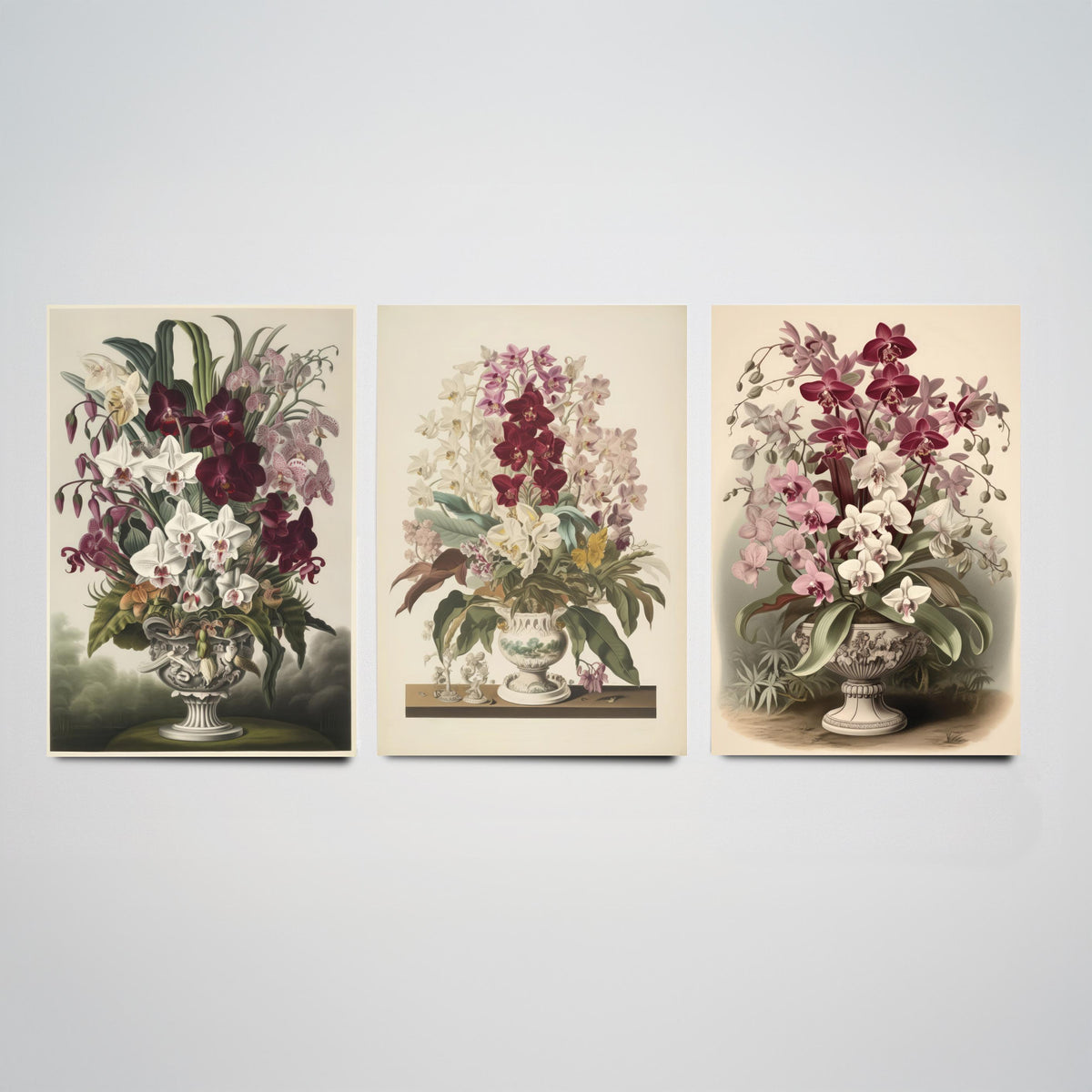 Tropical Orchids in a Vase Set of Three Art Prints - Antique Urns of Moth Orchids - Vintage Botanical Poster Illustration