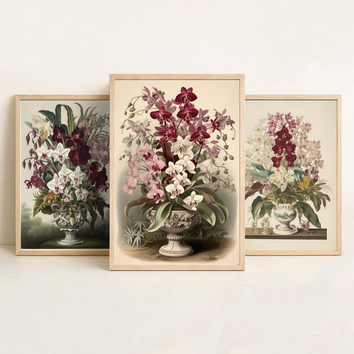 Tropical Orchids in a Vase Set of Three Art Prints - Antique Urns of Moth Orchids - Vintage Botanical Poster Illustration