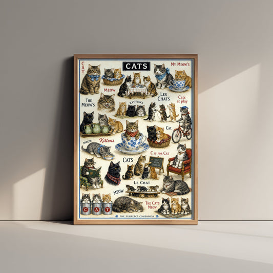 Vintage Cats Art Print - Cat Breeds Chart Poster - Antique Animal Illustration - Cat Lover Wall Art 3/3