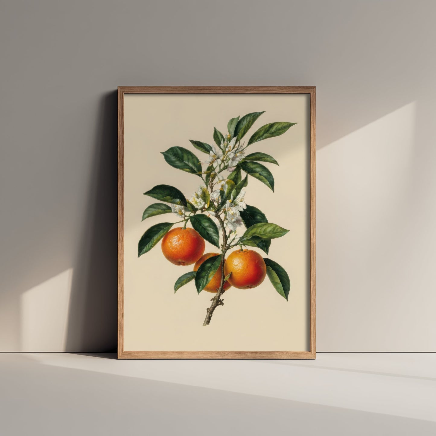 Orange Botanical Art Print - Vintage Fruit Kitchen Poster - Citrus Illustration Wall Art V3 1/3