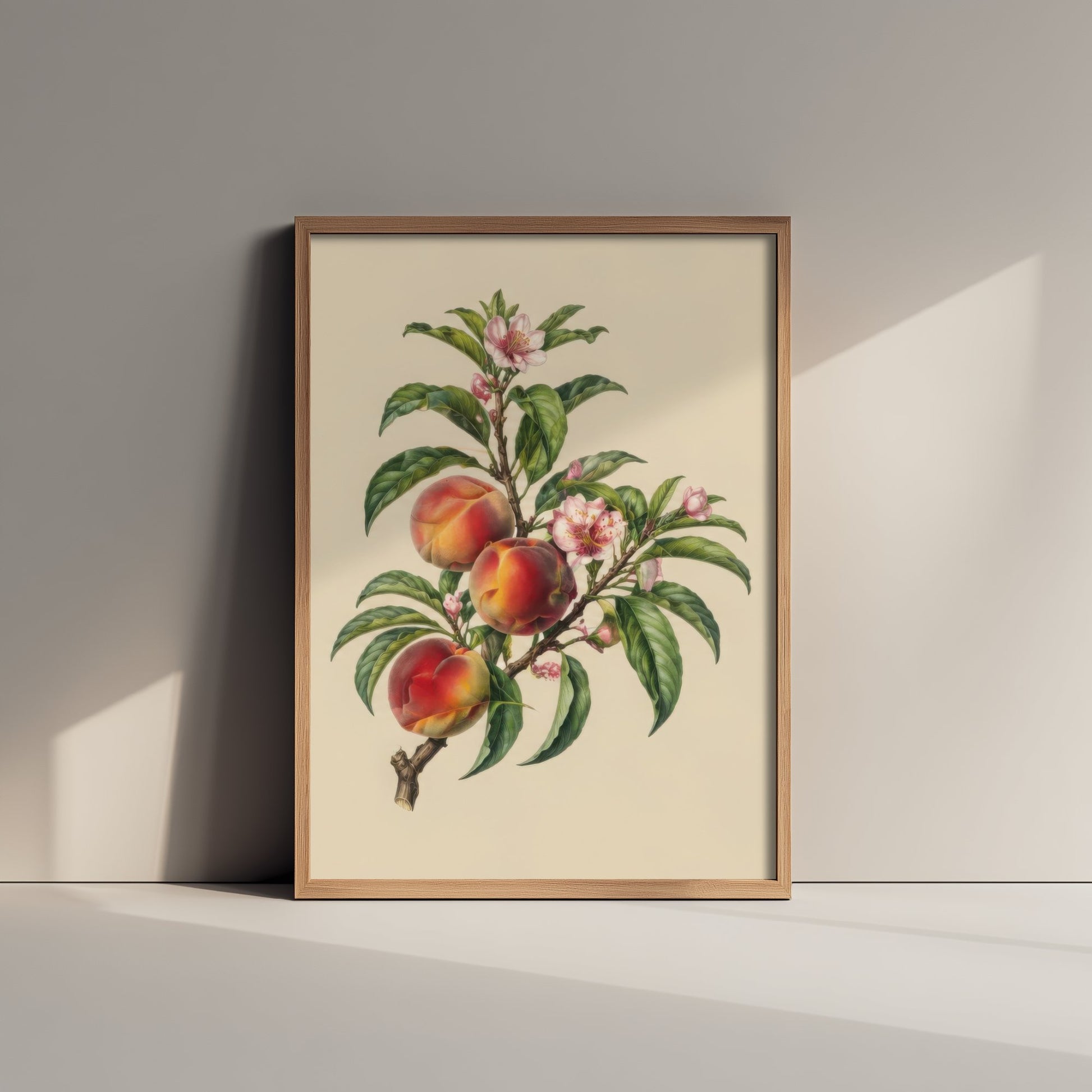 Peach Botanical Art Print - Vintage Fruit Kitchen Poster - Peach Blossom Illustration Wall Art V3 3/3