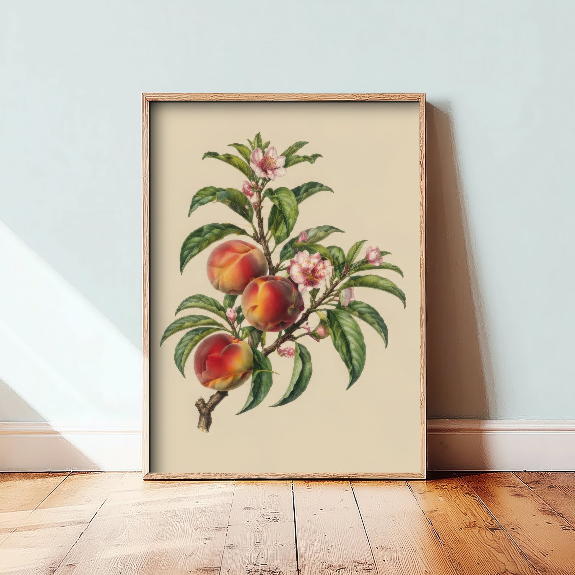 Peach Botanical Art Print - Vintage Fruit Kitchen Poster - Peach Blossom Illustration Wall Art V3 3/3