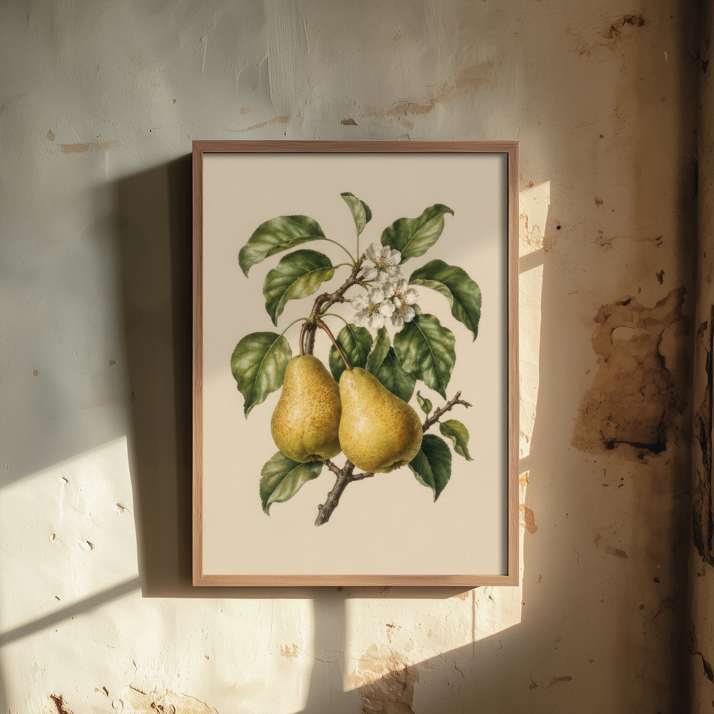 Pear Botanical Art Print - Vintage Fruit Kitchen Poster - Pear Illustration Wall Art V4 1/3