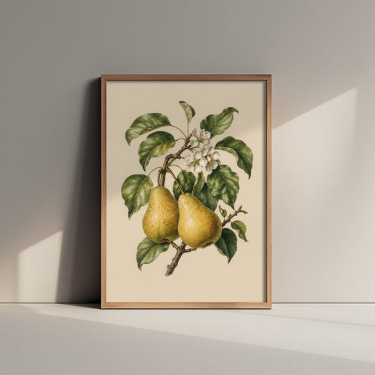 Pear Botanical Art Print - Vintage Fruit Kitchen Poster - Pear Illustration Wall Art V4 1/3