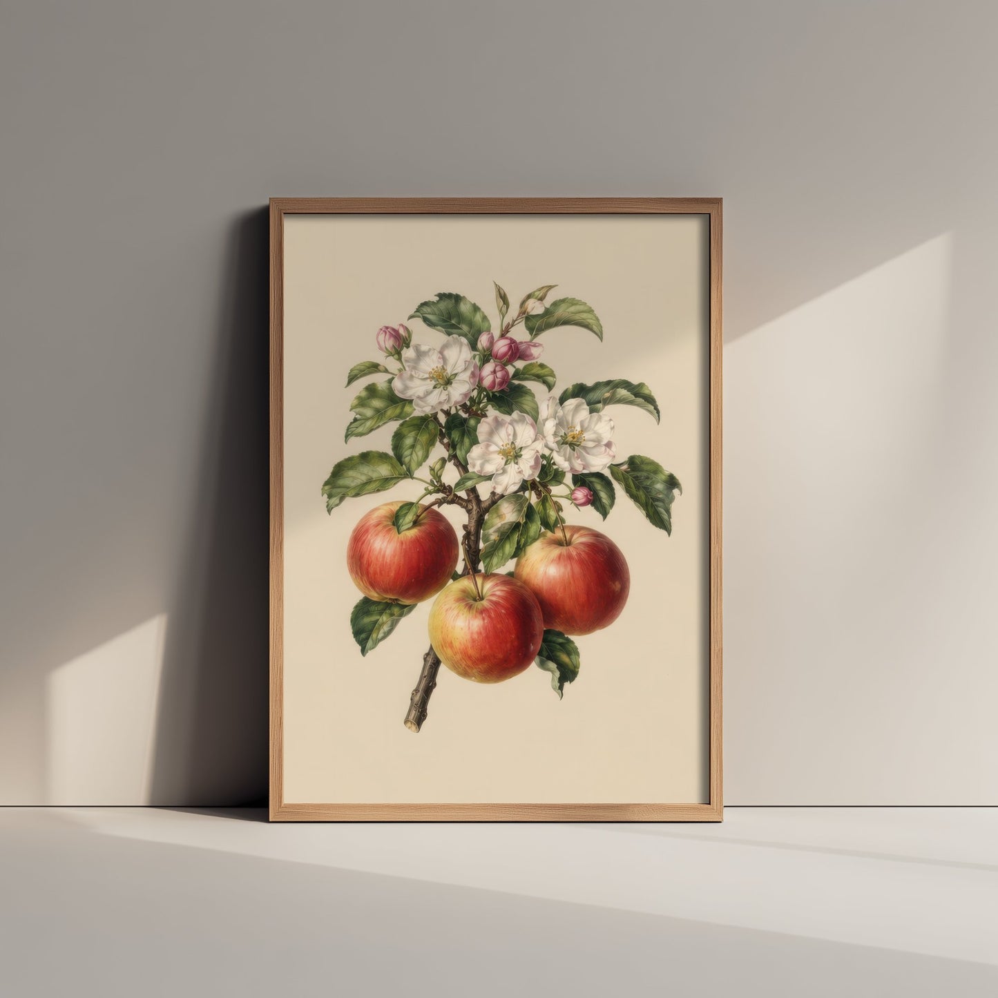 Apple Botanical Art Print - Vintage Fruit Kitchen Poster - Apple Blossom Illustration Wall Art V4 2/3
