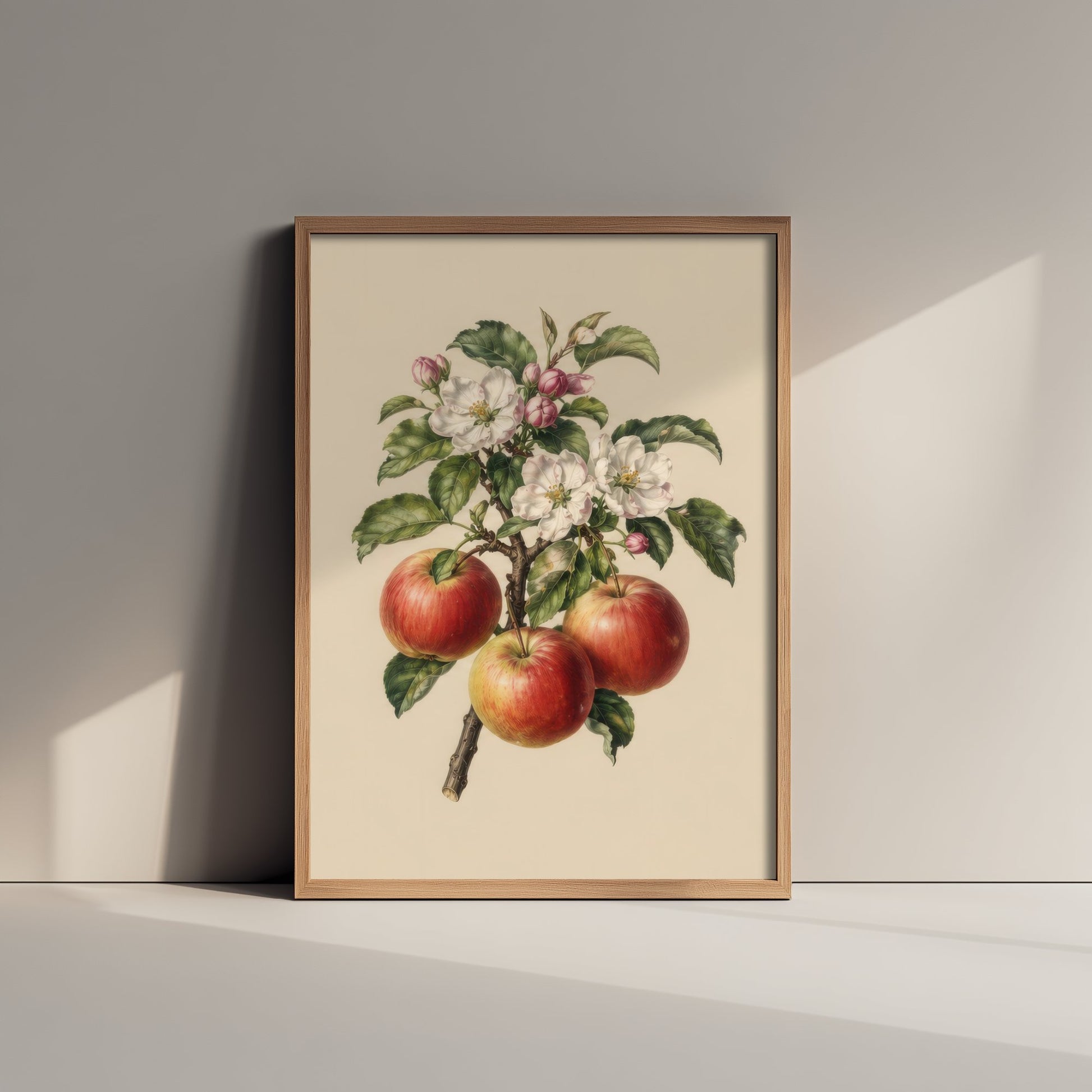 Apple Botanical Art Print - Vintage Fruit Kitchen Poster - Apple Blossom Illustration Wall Art V4 2/3