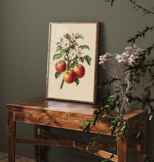 Apple Botanical Art Print - Vintage Fruit Kitchen Poster - Apple Blossom Illustration Wall Art V4 2/3