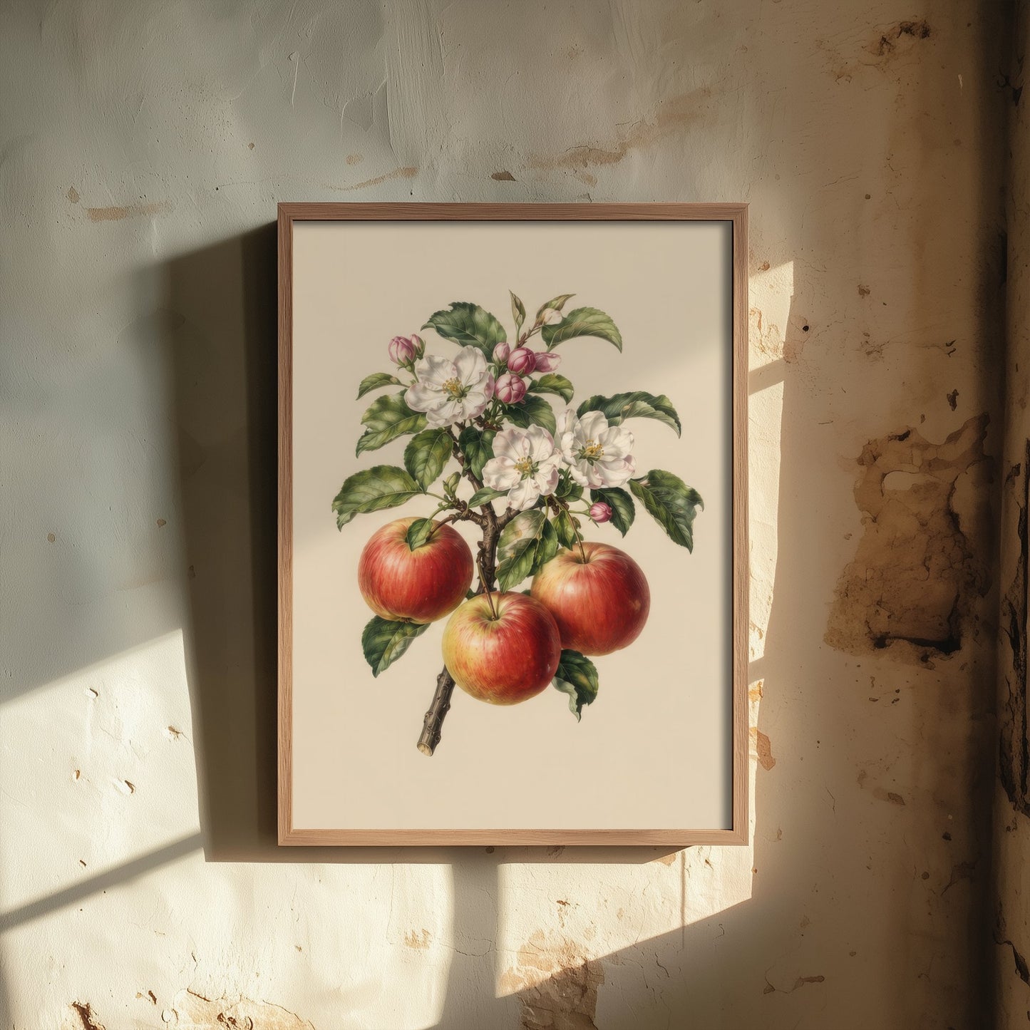 Apple Botanical Art Print - Vintage Fruit Kitchen Poster - Apple Blossom Illustration Wall Art V4 2/3