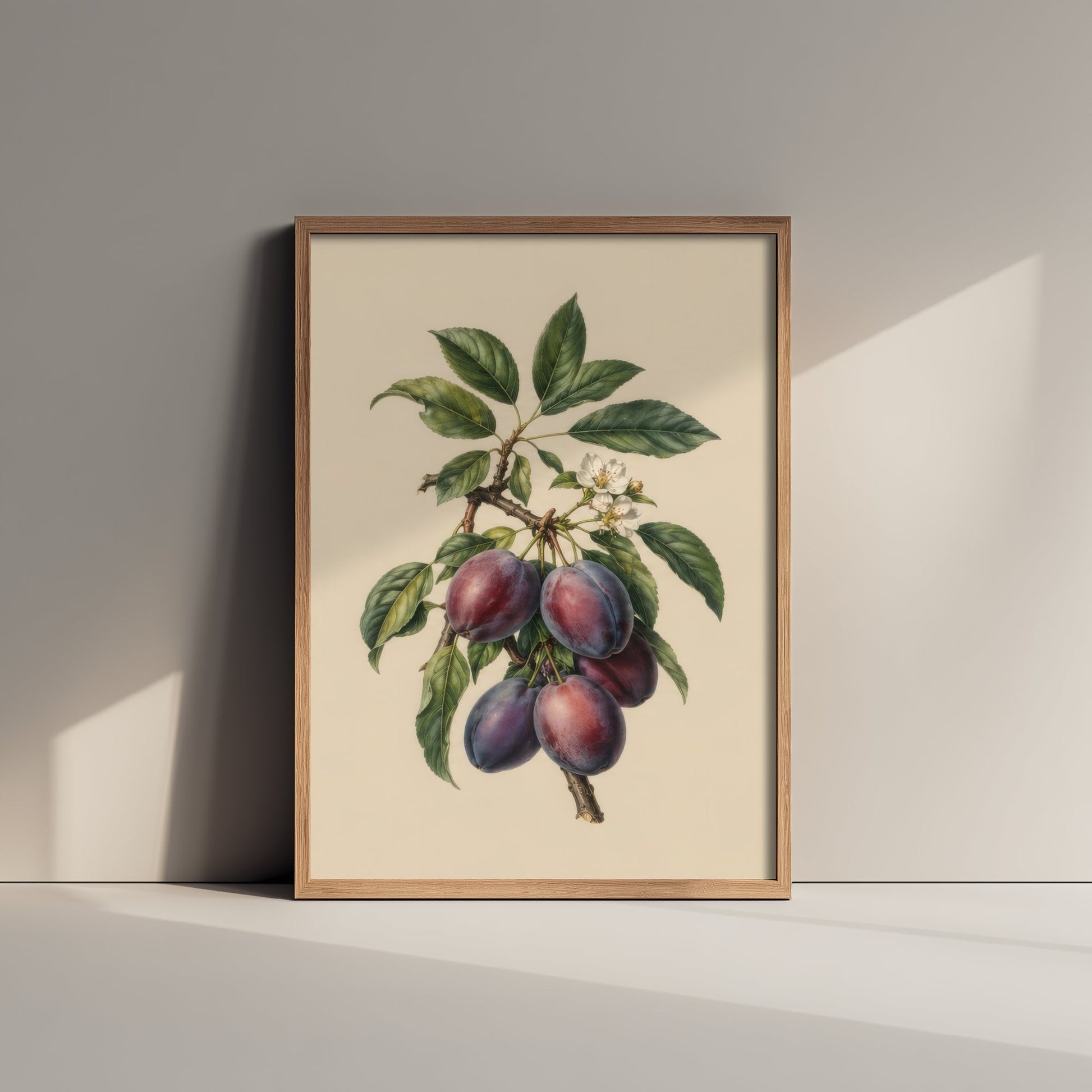 Plum Botanical Art Print - Vintage Fruit Kitchen Poster - Plum Illustration Wall Art V4 3/3