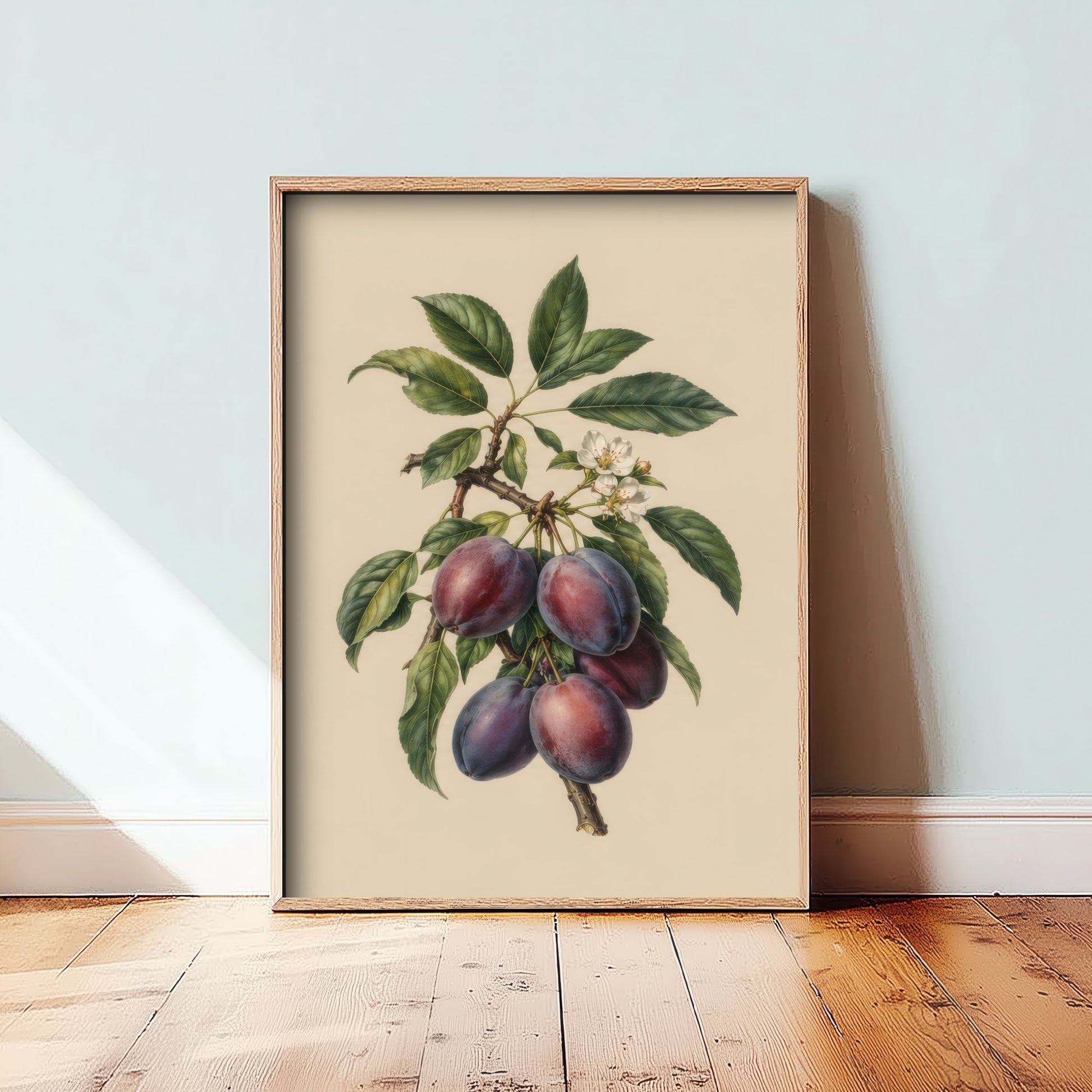 Plum Botanical Art Print - Vintage Fruit Kitchen Poster - Plum Illustration Wall Art V4 3/3
