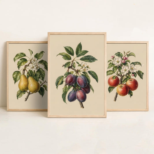 Vintage Orchard Set of Three Art Prints | Pears Apples Plums Botanical Illustration | Kitchen Poster Wall Decor