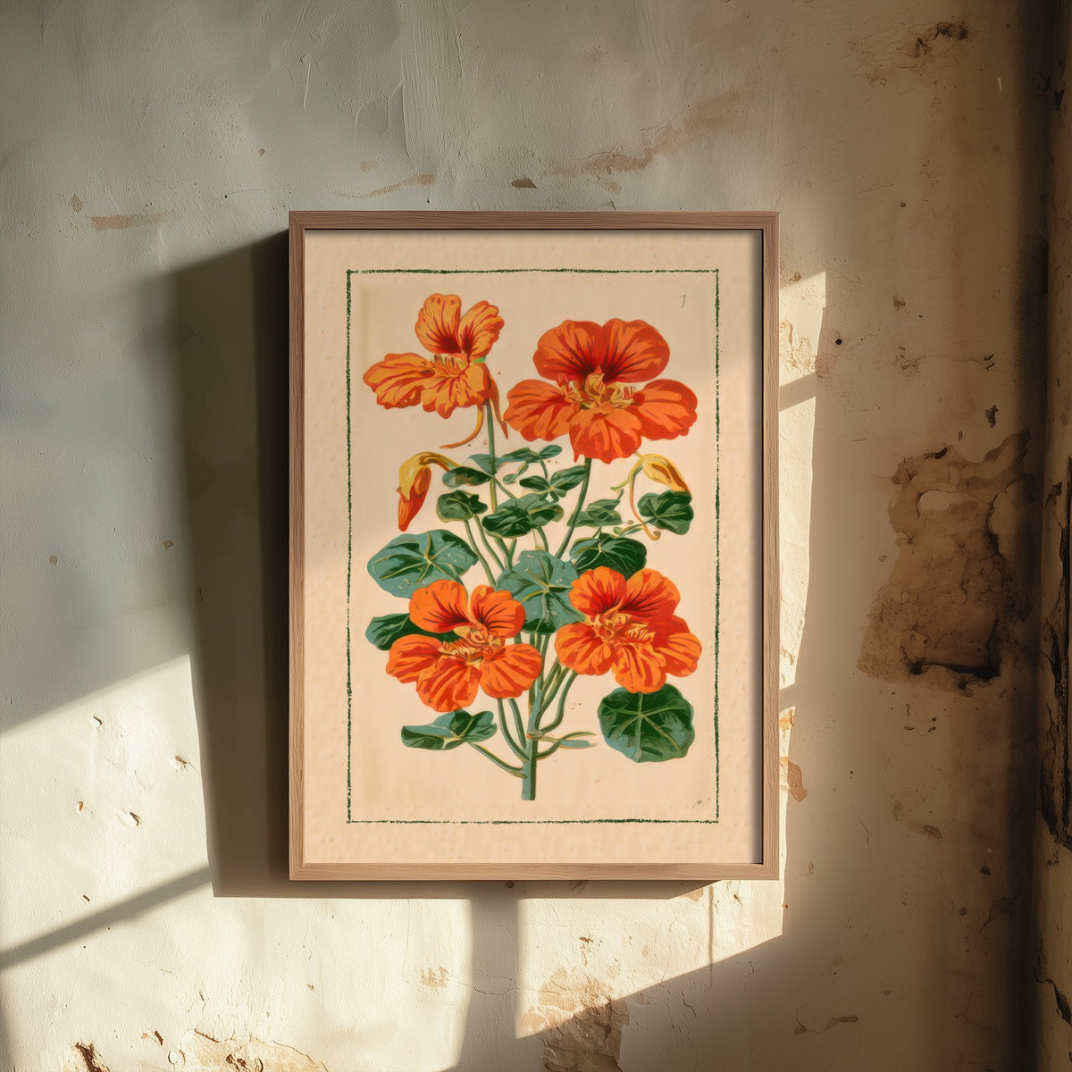 Nasturtium Poster - Orange Flower Vintage Botanical Art Print - Kitchen Garden Seed Packet Illustration V2 2/3