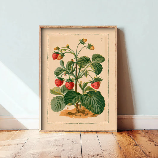 Strawberry Plant Art Print - Vintage Fruit Garden Poster - Antique Seed Catalogue Style Illustration V2 3/3