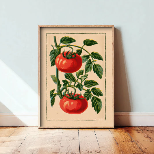 Tomato Vine Art Print - Vintage Kitchen Garden Poster - Seed Catalogue Botanical Illustration V1 1/3