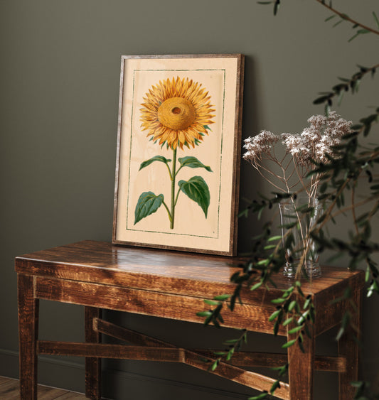 Sunflower Art Print - Golden Bloom Vintage Botanical Poster - Cottage Garden Illustration V1 2/3
