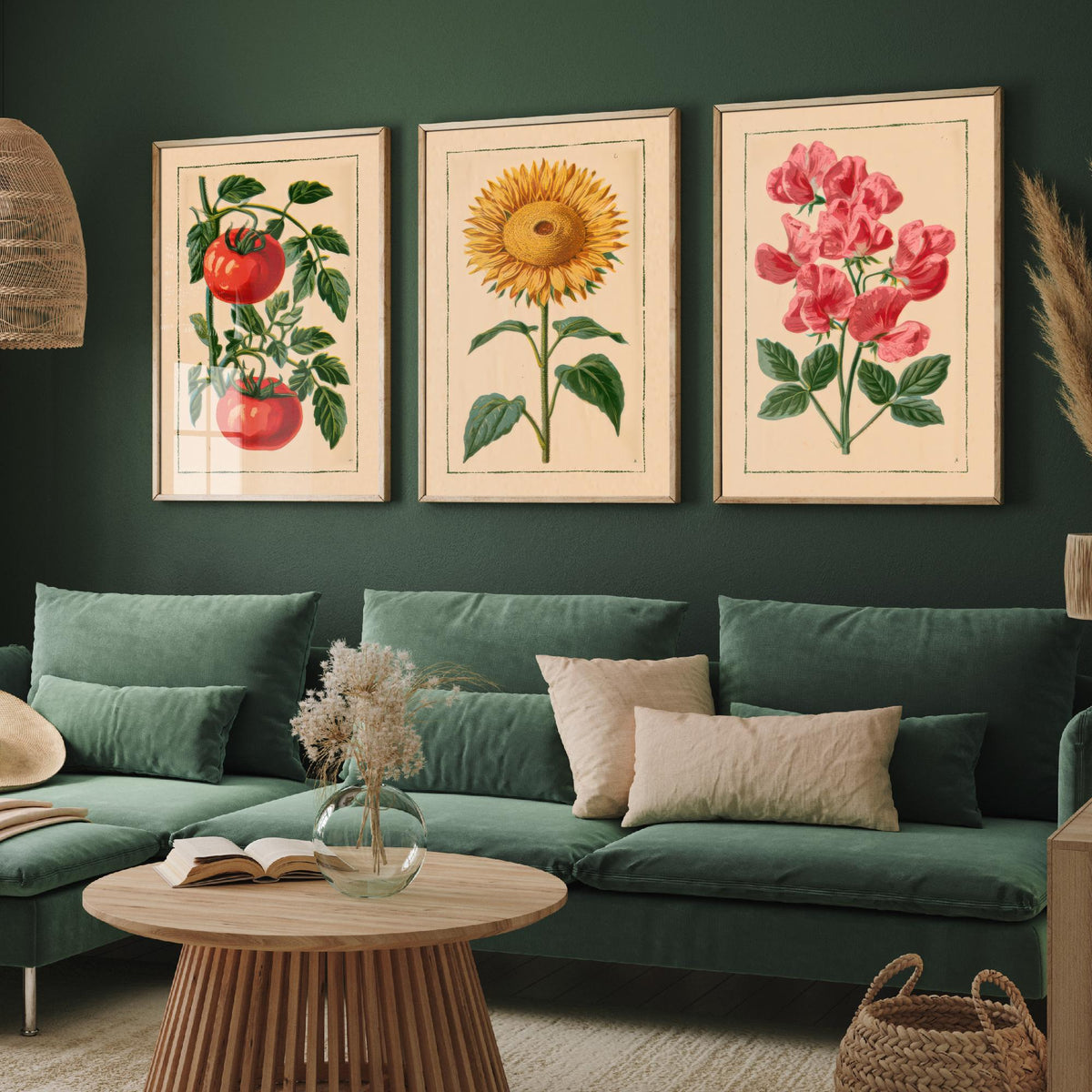 Vintage Kitchen Garden Set of Three Art Prints - Tomato, Sunflower, Sweet Pea - Botanical Poster Illustration V1