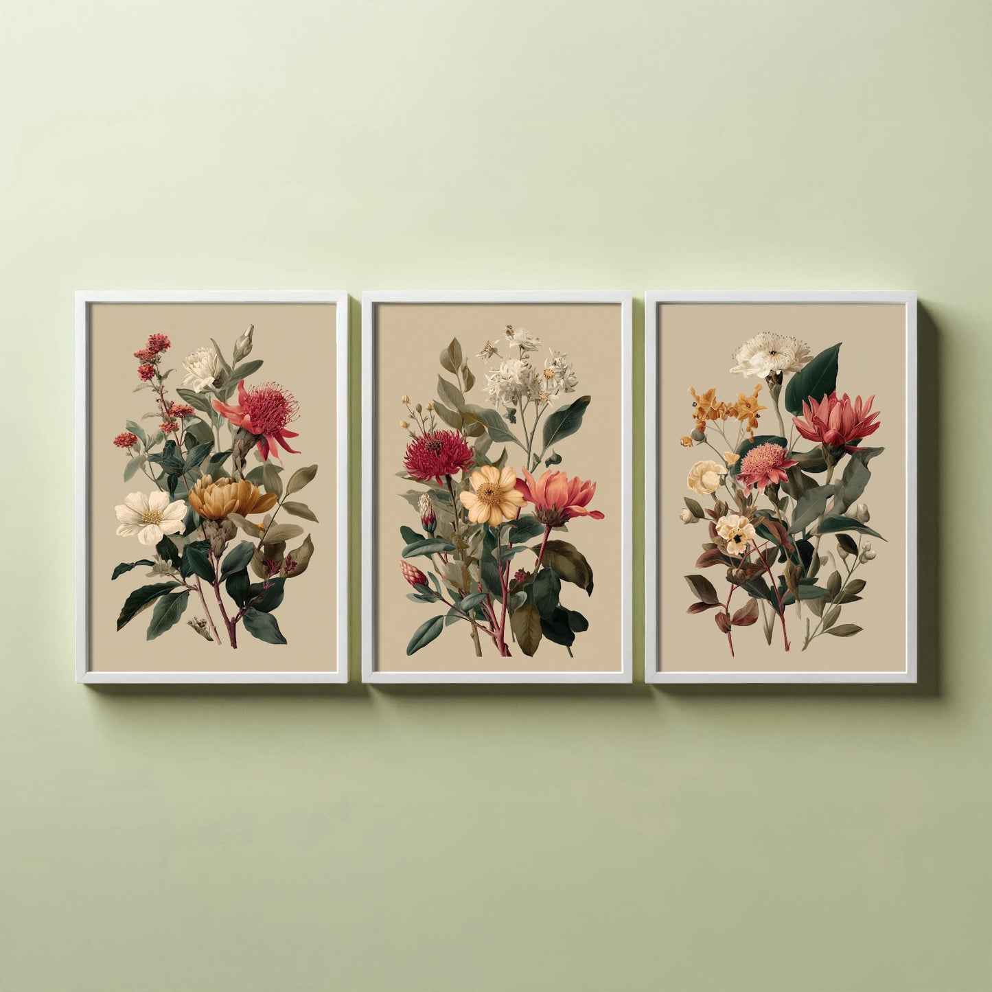 Vintage Botanical Poster Set of Three Art Prints | Protea Camellia Dahlia Illustration V12