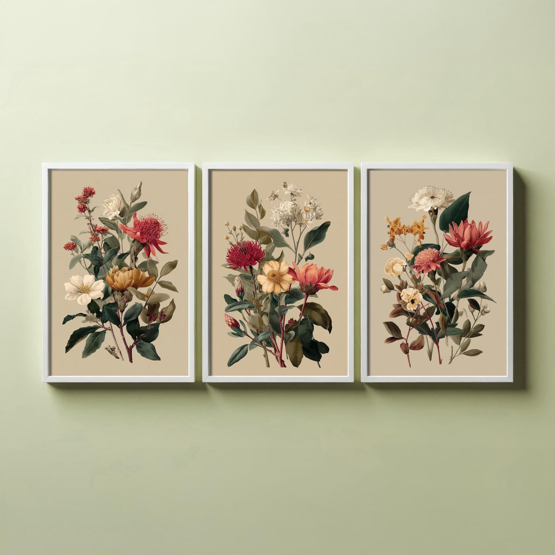 Vintage Botanical Poster Set of Three Art Prints | Protea Camellia Dahlia Illustration V12