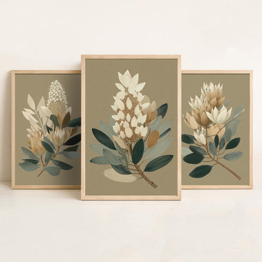 Vintage Botanical Set of Three Art Prints | Cream Protea Banksia Illustration Poster V17