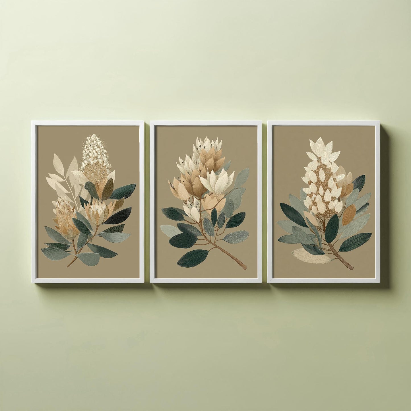 Vintage Botanical Set of Three Art Prints | Cream Protea Banksia Illustration Poster V17