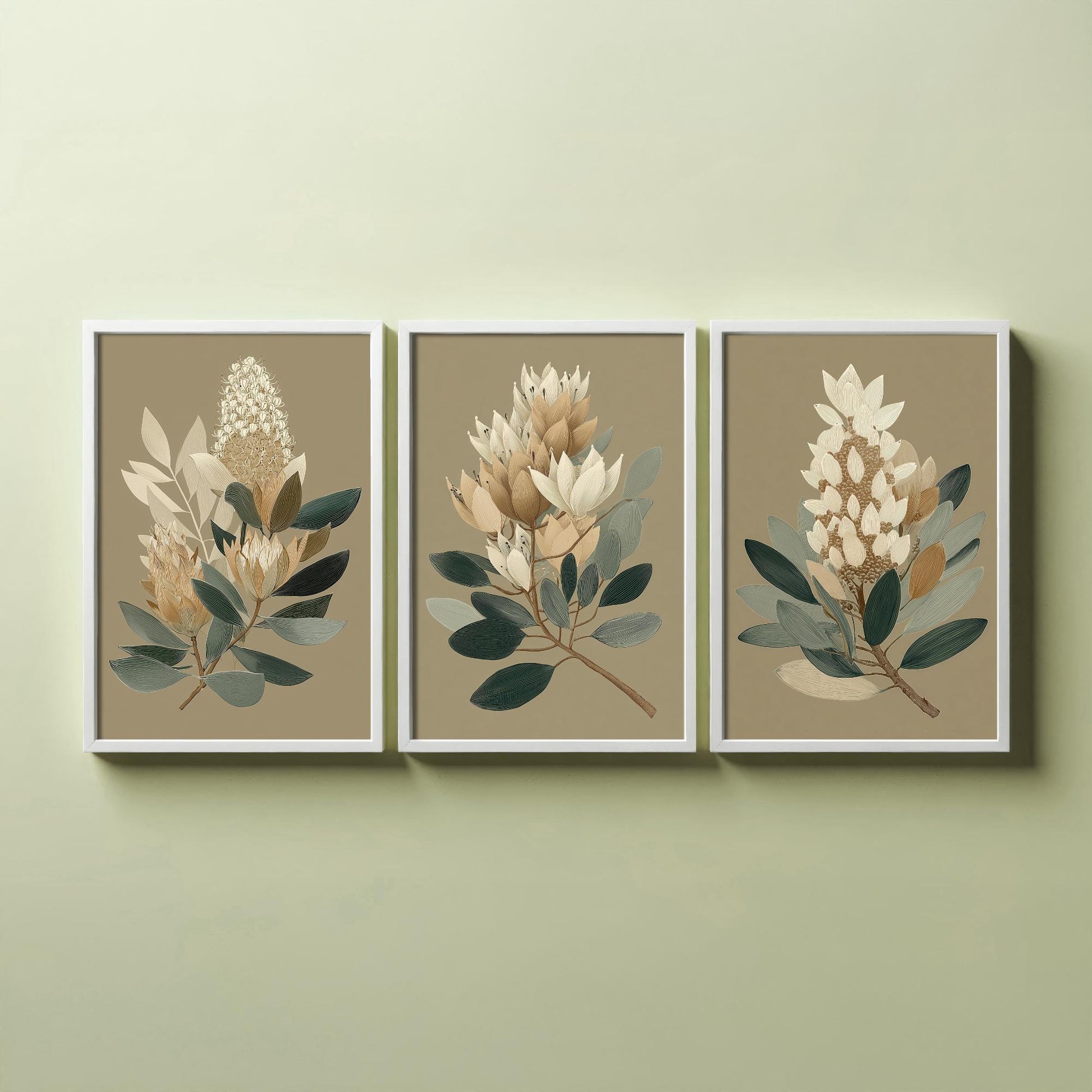 Vintage Botanical Set of Three Art Prints | Cream Protea Banksia Illustration Poster V17