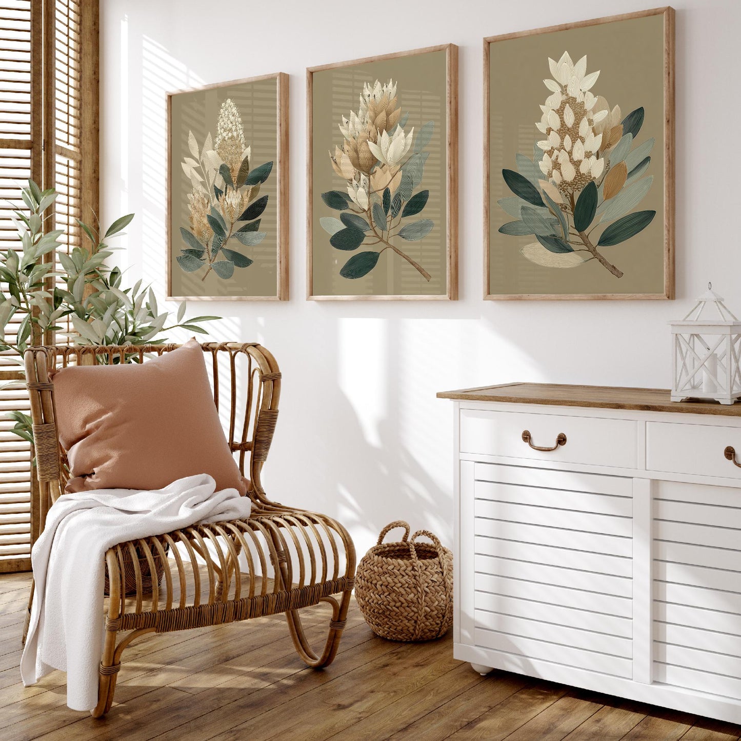 Vintage Botanical Set of Three Art Prints | Cream Protea Banksia Illustration Poster V17