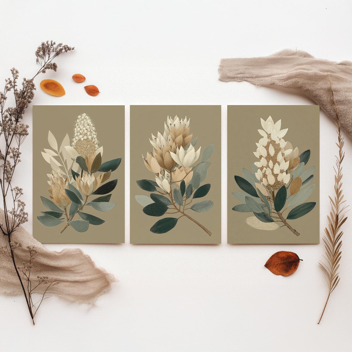 Vintage Botanical Set of Three Art Prints | Cream Protea Banksia Illustration Poster V17