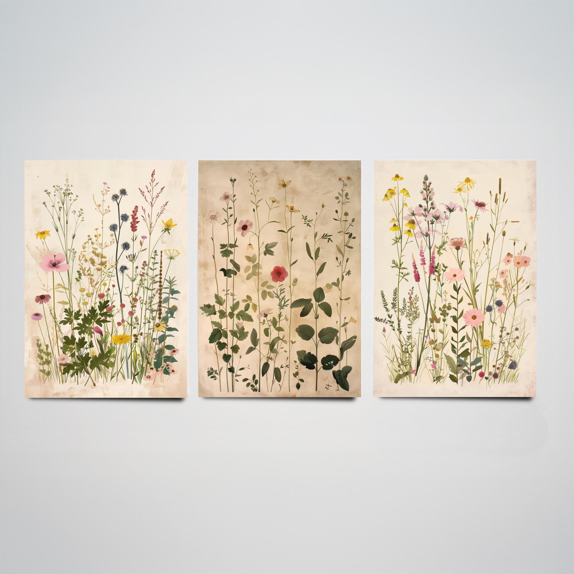 Vintage Floral Set of Three Art Prints | Yellow Coneflower Pink Foxglove Painting Poster V5