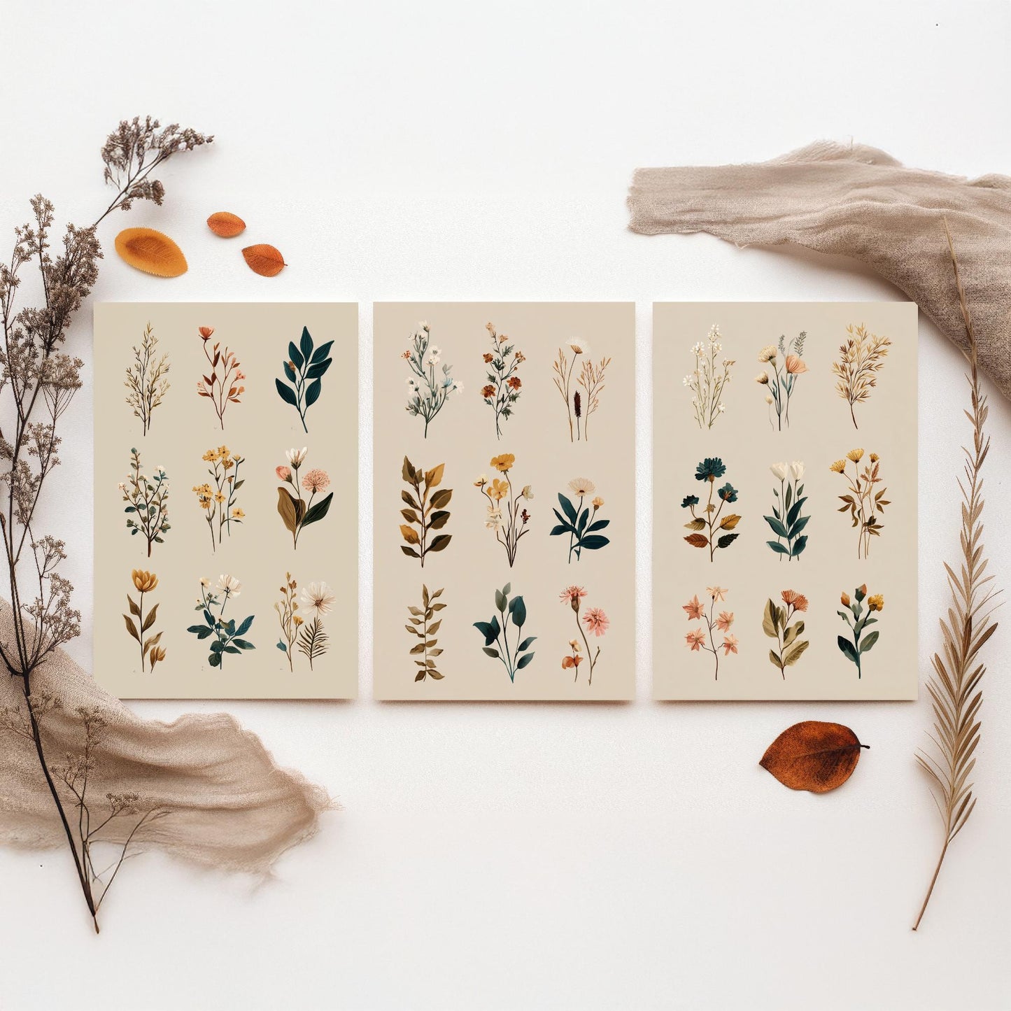 Vintage Botanical Set of Three Art Prints | Pressed Wildflower Sprig Specimen Illustration Poster V8