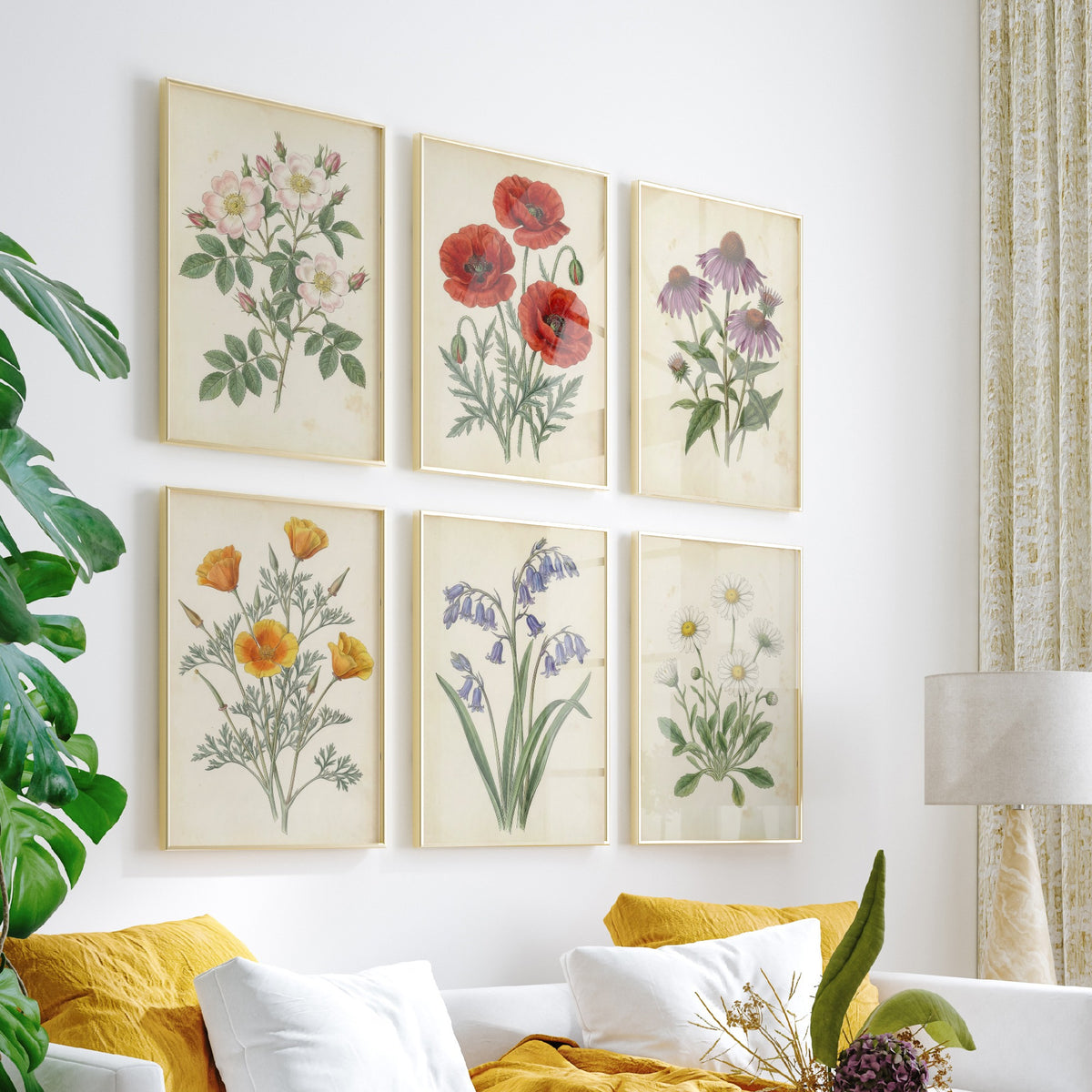 Set of Six Wildflower Art Prints - 6 Antique Botanical Posters - Wild Rose, Poppy, Echinacea, California Poppy, Bluebell, Daisy Illustration