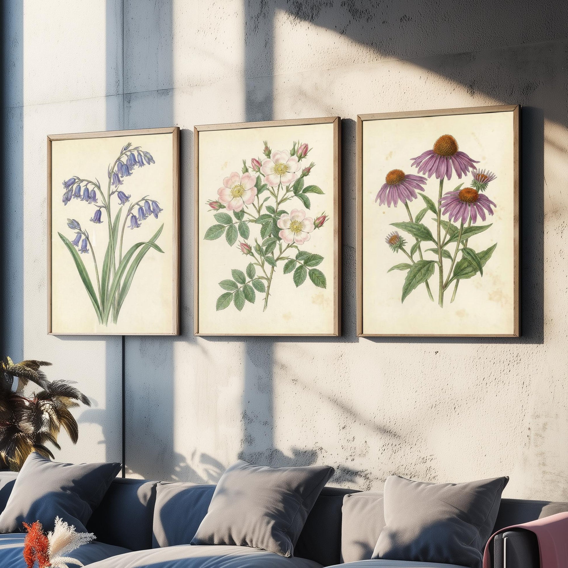 Vintage Flower Set of Three Art Prints | Bluebell Wild Rose Coneflower Botanical Illustration Poster
