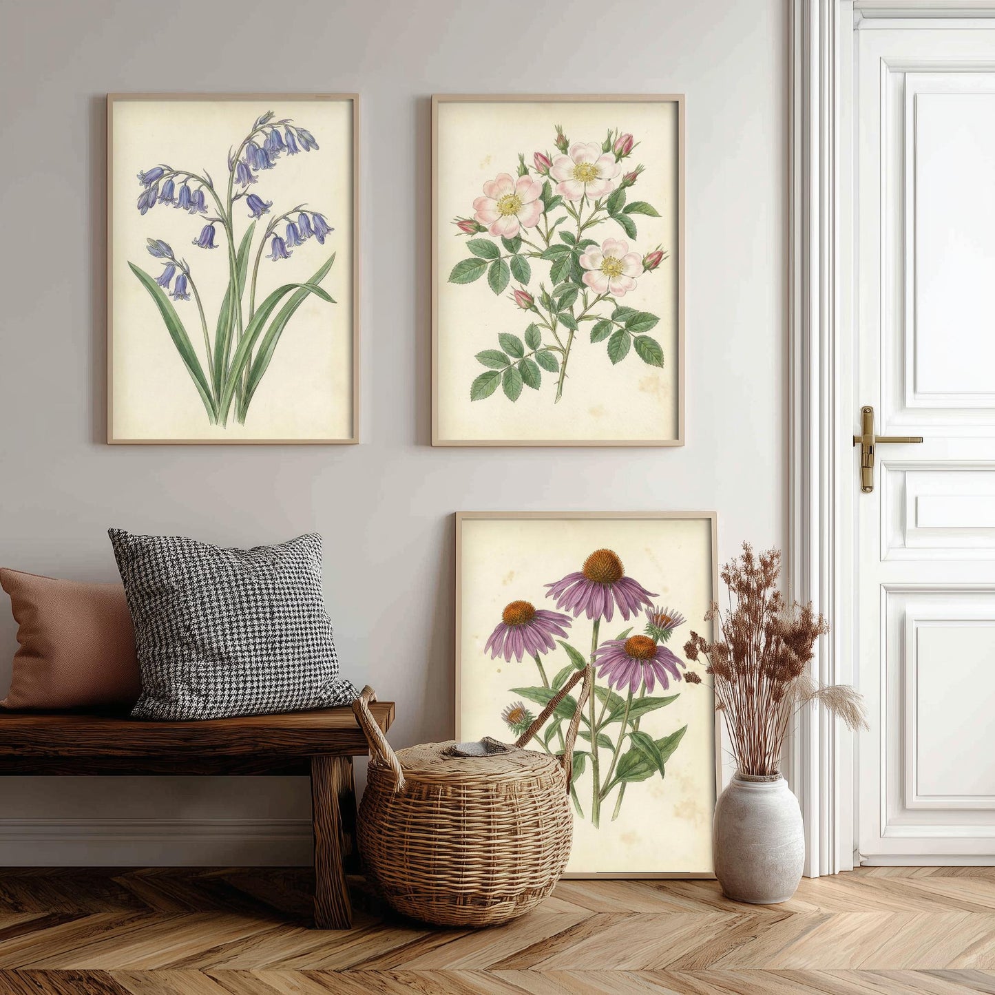 Vintage Flower Set of Three Art Prints | Bluebell Wild Rose Coneflower Botanical Illustration Poster