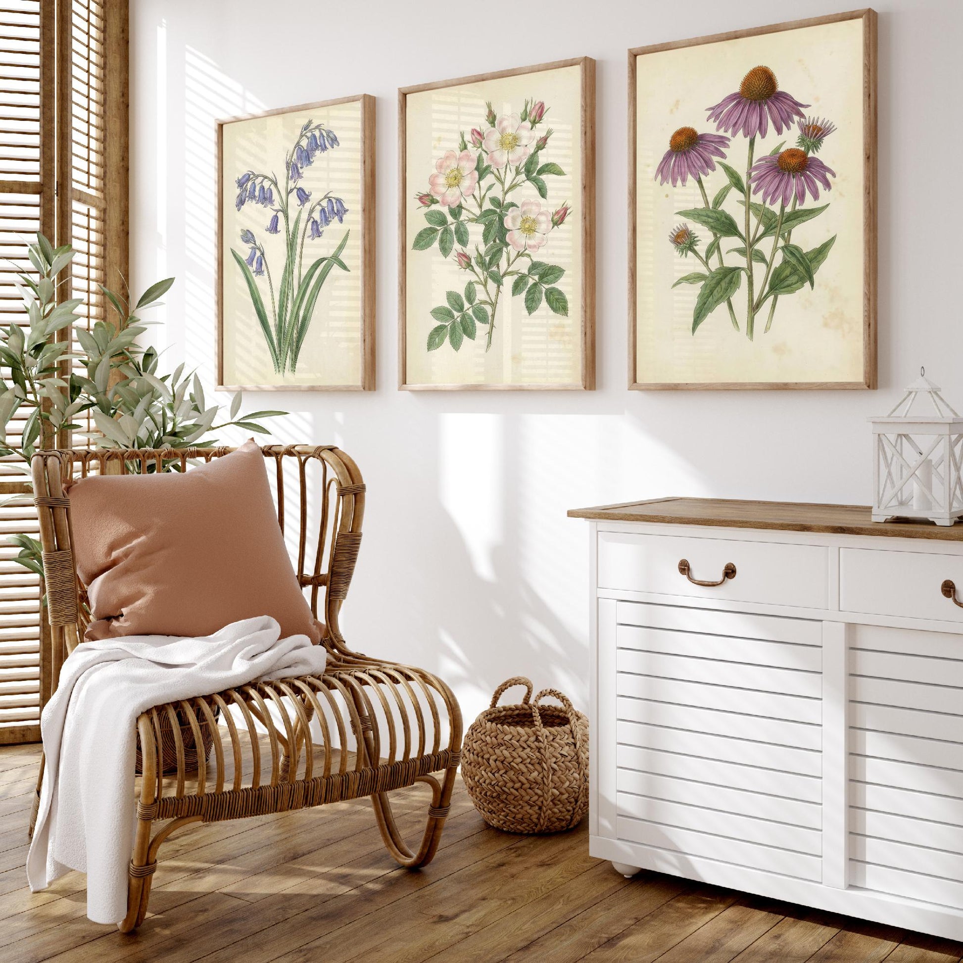 Vintage Flower Set of Three Art Prints | Bluebell Wild Rose Coneflower Botanical Illustration Poster