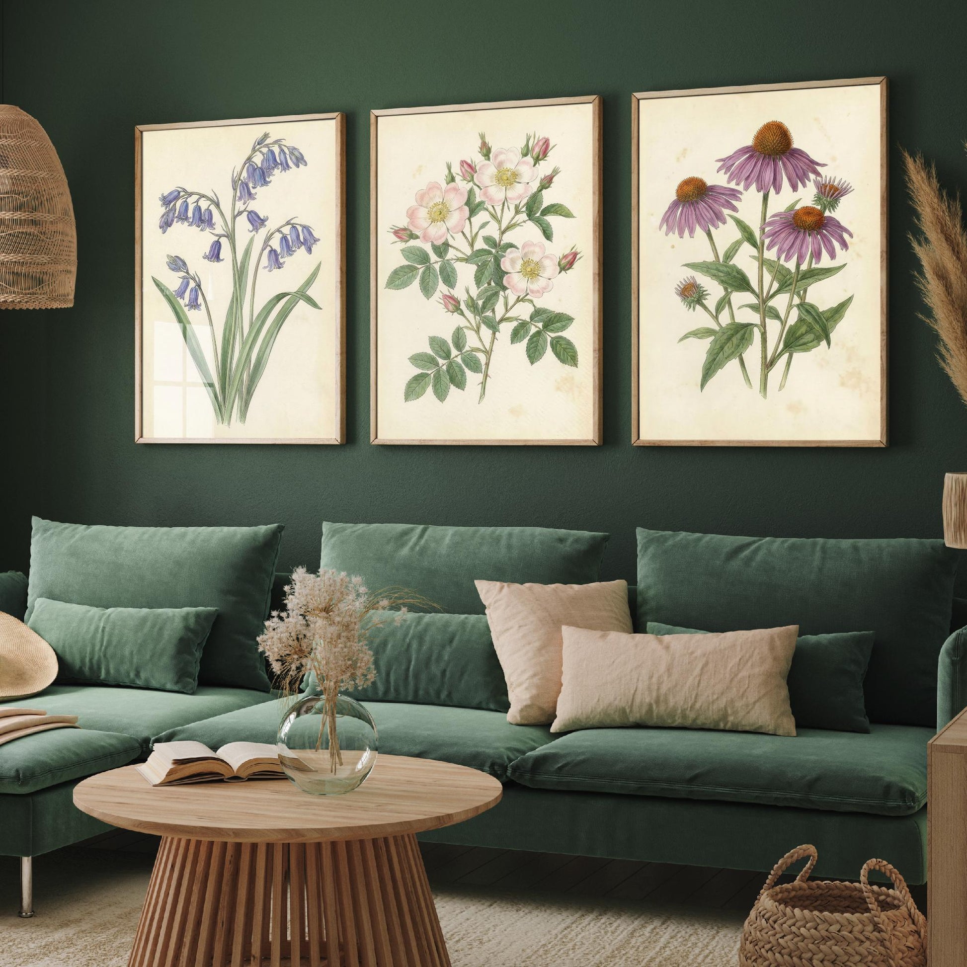 Vintage Flower Set of Three Art Prints | Bluebell Wild Rose Coneflower Botanical Illustration Poster